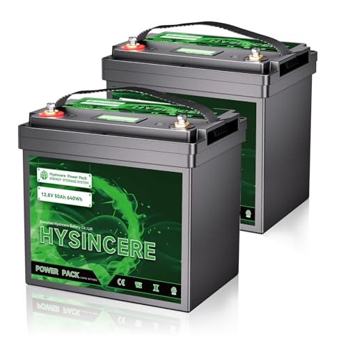12V 50Ah LiFePO4 Lithium Battery, Built-in 50A BMS, Deep Cycle Up...