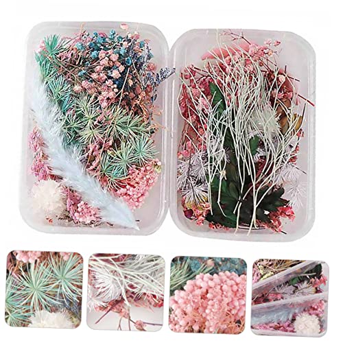 Alipis 4 Caixas Flores secas de aromaterapia pétalas de flores secas decoração de flores decoração e