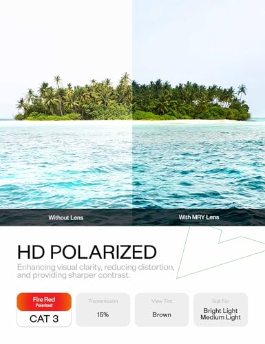 Image of Mryok Replacement Lenses for Arnette Stance AN4020 Sunglasses, HD Polarized, UV Protection, Impact Resistant & Perfectly Fit