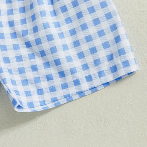 Image of Toddler Baby Boy Easter Rabbit Outfit Short Sleeve Bunny Carrot Smocked T-shirt Elastic Waist Shorts Summer Clothes