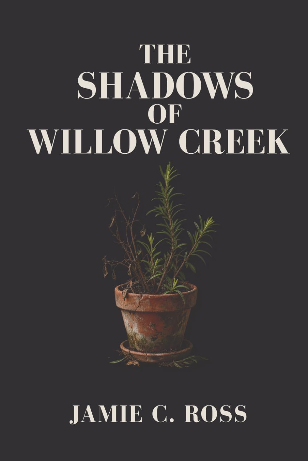 THE SHADOWS OF WILLOW CREEK: 1 (The Willow Creek Mysteries)
