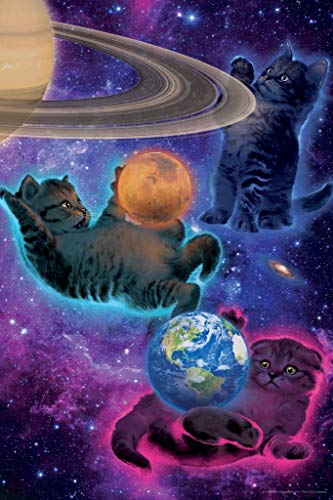 Cosmic Kittens Floating Outer Space by Vincent HIE Fantasy Cat Poster Funny Wall Posters Kitten Posters for Wall Motivational Cat Poster Funny Cat Poster Cool Wall Decor Art Print Poster 24x36