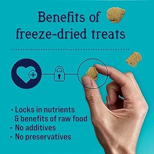 Stewart Freeze Dried Canine Treats Zen Beef  Pumpkin Anxiousness Aid Grain Free 4 Ounce Resealable Pouch Made in Usa  Cucciolini Doodles Stewart freeze dried canine treats zen beef  pumpkin anxiousness aid grain free 4 ounce resealable pouch made in usa   cucciolini doodles