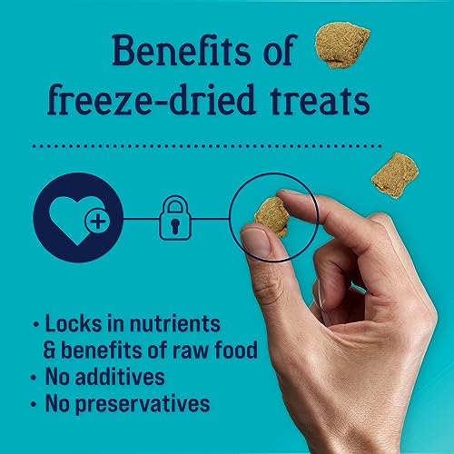 Stewart Freeze Dried Canine Treats Zen Beef  Pumpkin Anxiousness Aid Grain Free 4 Ounce Resealable Pouch Made in Usa  Cucciolini Doodles Stewart freeze dried canine treats zen beef  pumpkin anxiousness aid grain free 4 ounce resealable pouch made in usa   cucciolini doodles