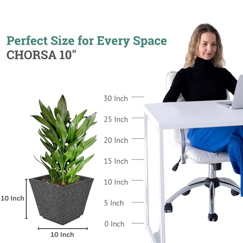 Image of Amazon Brand - Umi 10 Inch Planter Pot | Flower Pot for Indoor & Outdoor Use | Square Shape Planter Pot for Home & Office Decor Balcony & Terrace Gardens (Chorsa, Black)