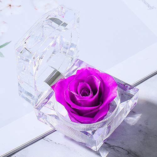 Enchanted Real Preserved Forever Rose in Clear Acrylic Ring Box, Fresh-Cut Eternity Flower That Lasts Years, Valentine’s Day, Mother’s Day, for Her, Purple