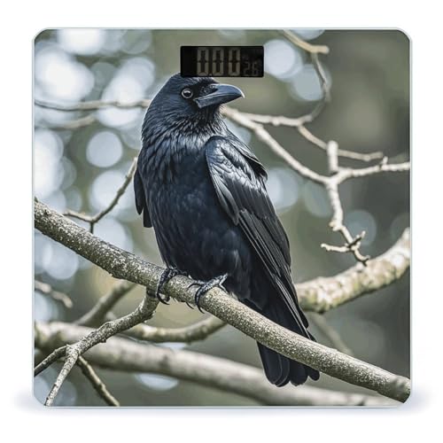 Báscula digital de baño con pantalla LCD y vidrio templado