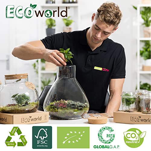 Foto von Ecoworld Tropical Biosphere - Flaschengarten mit Lampe - 3 Farbige Zimmerpflanzen - Ökosystem im Glas Set - Basic Glas: Ø 22 cm, Höhe 23 cm - Pflanzen im glas aus eigener Gärtnerei
