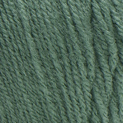 Image of Red Heart Super Saver Yarn - Light Sage