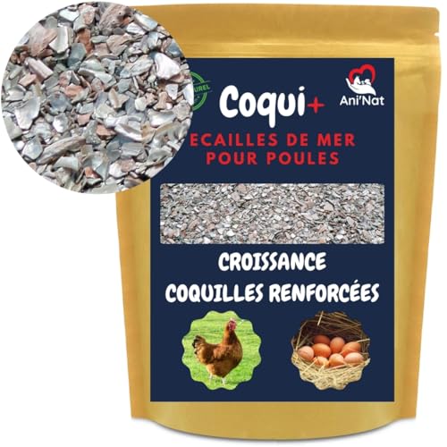 3,5kg de Conchas molidas para gallinas ponedoras y Palomas. Más Variedad de minerales Que Las Conchas de ostras. Minerales y Calcio para Conchas sólidas.