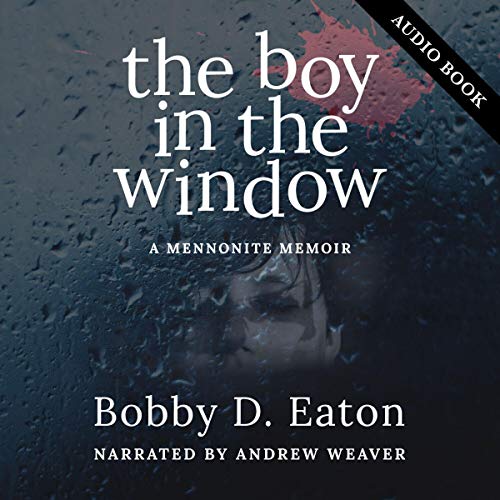 The Boy in the Window by Bobby Eaton episode artwork