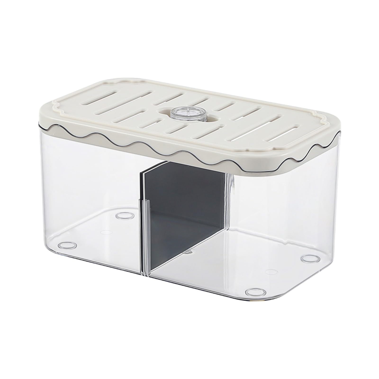 Récipient à poissons de table à séparateur amovible pour double espace aquatique interne