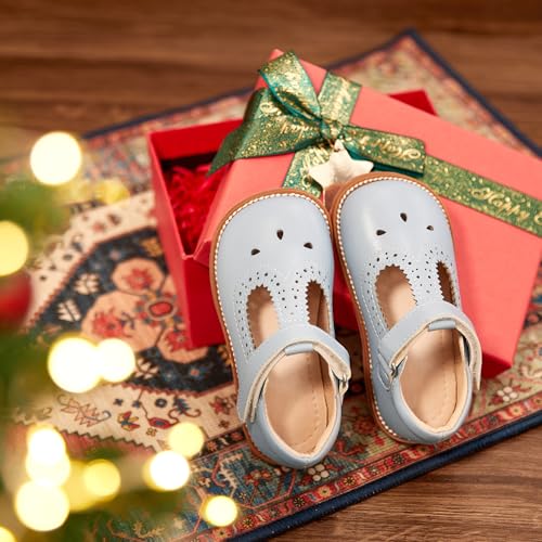 Image of GINFIVE Toddler Girls Dress Shoes Little Kids Flats School Mary Janes Shoes