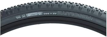 Amazon.com : WTB Resolute 650 x 42 Gravel Bike Tire, Tubeless
