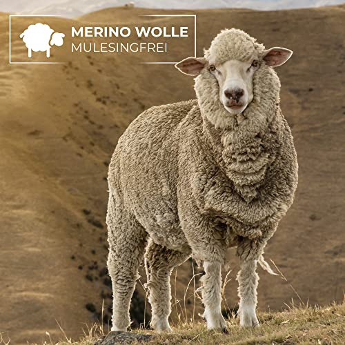 Giesswein - unisex hoofdband van dubbellaags merinojersey voor dames en heren, ademend, vochtregulerend, hoofdband voor mannen en vrouwen, voor wintersport & helmen, skiën - Afbeelding 6