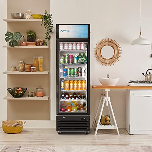 Cotlin Glass Door Merchandiser Refrigerator With Led Lighting, 12.5 Cu.ft Commercial Beverage Cooler, Extra Adjustable Shelves And Drink Organizers, Etl Nsf Approved #TOP2