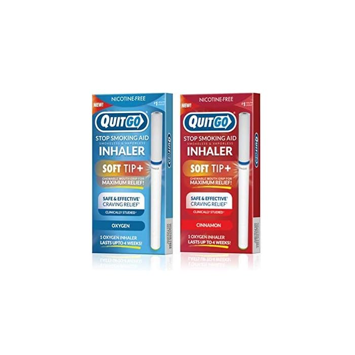 Buy QuitGo Inhaler Smoking Alternative with Oxygen Air Filter, Oral