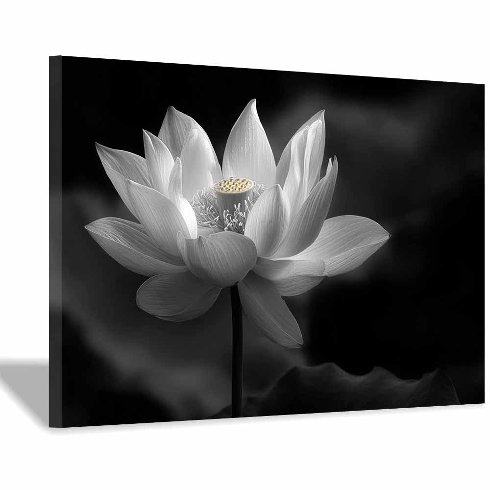 ZAMAEIU Landscape Pictures For Wall Pure-Lotuss petals art prints and posters, Suitable for Living Room Bedroom Decor apartment Wall Decoration(black and white)-30x50cm Framed
