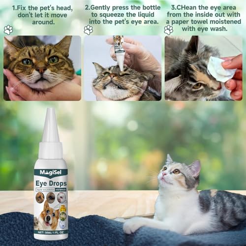 MagiSel Spezial Augentropfen für Hunde und Katzen 30 ml, Augentropfen für Hunde & Katzen mit kolloidalem Silber, Augentropfen Kolloidales Silber Hund, Augenpflege – Juckreiz, Reizung, Tränenflecken