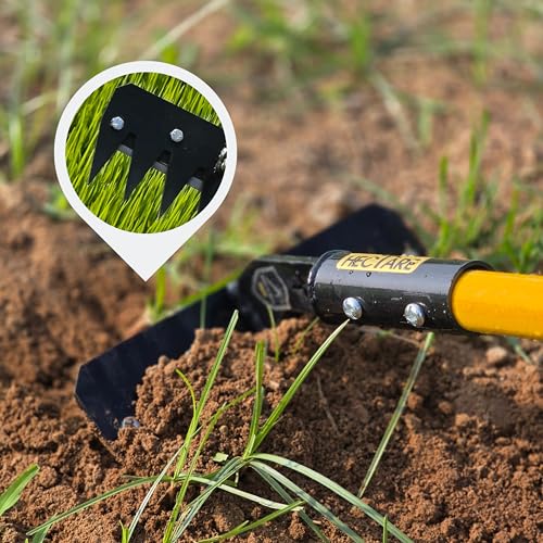 Image of HECTARE Deep Root Weeder Cultivator Head (8-Inch) | Heavy Duty Metal Garden Tool for Root Removal | Essential Agriculture Equipment for Tilling and Weeding