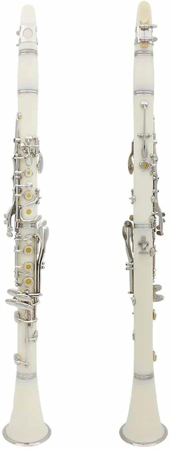 Bb 17 Keys Clarinet Professional Beginner With Case(1)