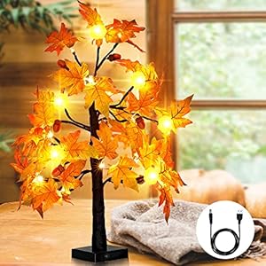 24 Inch Artificial Fall Lighted Maple Tree 24 LED Pumpkin Lights Battery Operated for Halloween Thanksgiving Christmas…
