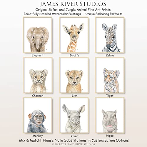 Safari Animal Nursery Prints Unframed Set Of 4, Pick Your Baby Animals And Size, Original Watercolor Portraits Art Signed By Artist … #TOP4