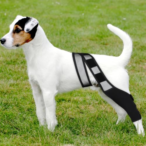 HYTROVE Hundebeinstütze Aus Neopren Elastischer Beinschutz Für Vorder- Und Hinterbeine Atmungsaktiv Gelenkschutz Und Knochenschutz Für Hunde Nach Operation 13.39X11.42X0.79In Schwarz XL