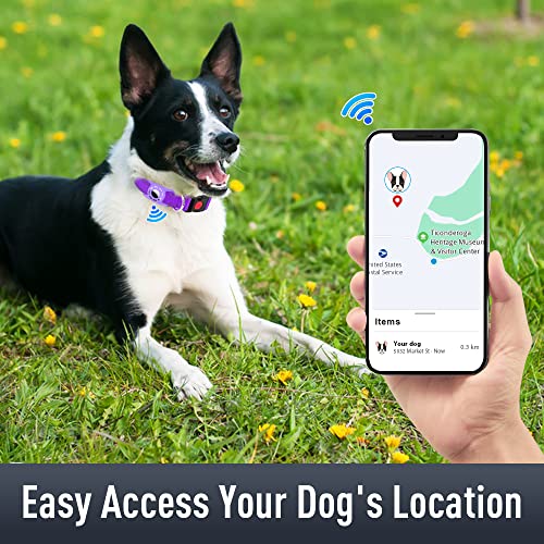 Erbine Airtag Dog Collar For Medium Dogs, Reflective Dog Collars With Airtag Holder, Soft Padded & Safety Locking Buckle, Nylon Pet Collar Adjustable For All Breeds, Purple #TOP1