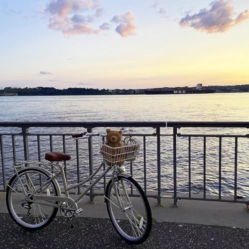 AVASTA Hybrid Bike for Adult Women Female Lightweight Step Through 26 inch Hi-Ten Steel Frame City Commuter Comfort Lady Bicycle, 6-Speed, Multiple Colors - Image 10