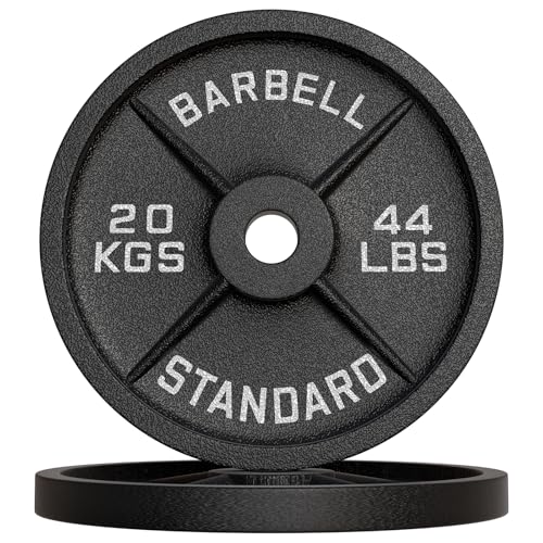 Disques de poids en fonte 10kg, 15kg, 20 kg au choix, Ensemble de disques d'haltères, Set de plaques avec alésage 50 mm pour Musculation et Haltérophilie (2...