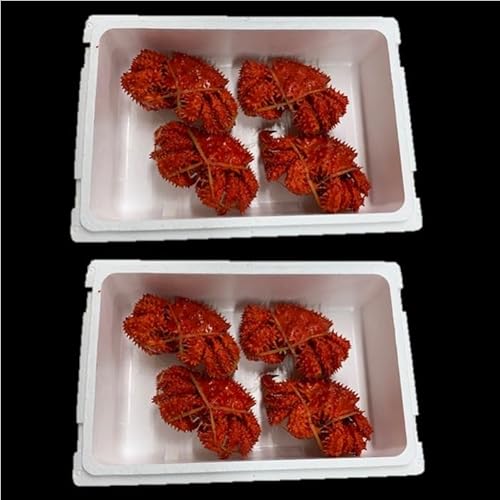 [北海道根室市] 北海道根室市産花咲がに姿350〜450g×8尾 B-01050[配送月(年明け含む)の指定は不可] 母の日 ギフト プレゼント 贈り物