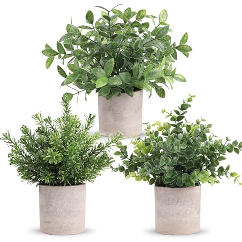 Der Rose 3 Pack Mini Potted Fake Plants Artificial Plastic Eucalyptus Plants Centerpieces for Table Home Office Desk Accessories Farmhouse Room Classroom Decor Green