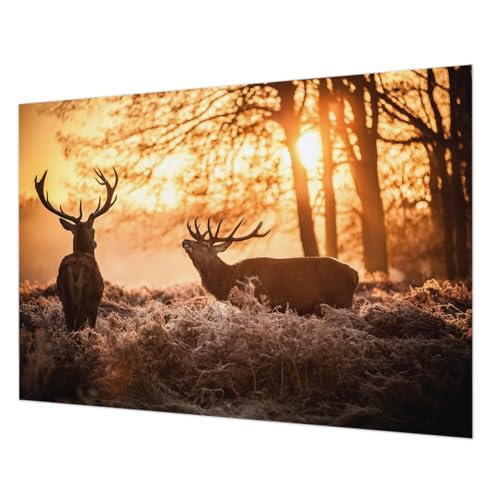 Revêtement mural intissé 312x219 cm décoration salon colle incluse et lavable - 2