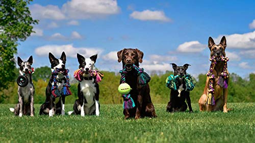 image for Mammoth Pet Products Mammoth Flossy Chews Rope Tug – Premium Cotton-