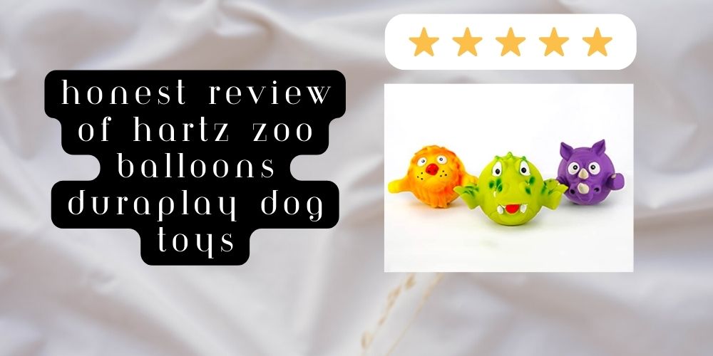 Watch HONEST REVIEW of Hartz Zoo Balloons DuraPlay Dog Toys on