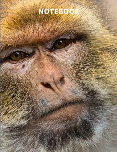 Notebook: Barbary Ape Journal - Monkey Notebook With 120 Pages of Lined Paper