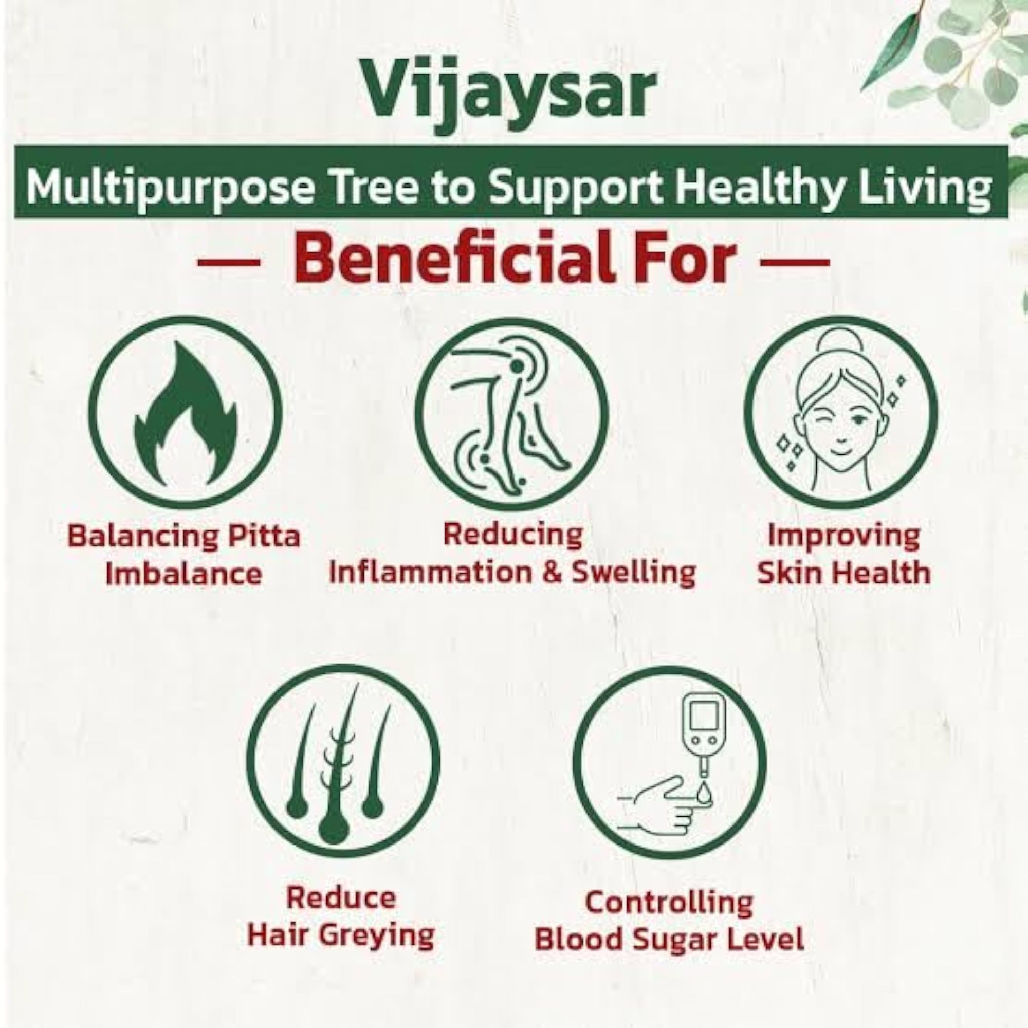 Raw Vijaysar Lakdi, 100% Fresh & Natural Bark, 250g