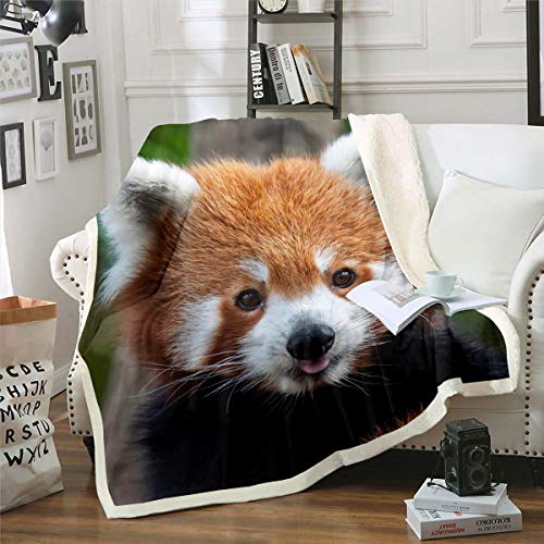 Red Panda Sherpa Blanket Cute Panda Fleece Throw Blanket for Kids Boys Girls Wild Animal Decor Plush Blanket Jungle Wildlife Style Fuzzy Blanket for Sofa Bed Couch,Baby 30x40 Inches …