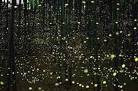 The Love of Nessa and Kelet 0578203855 Book Cover