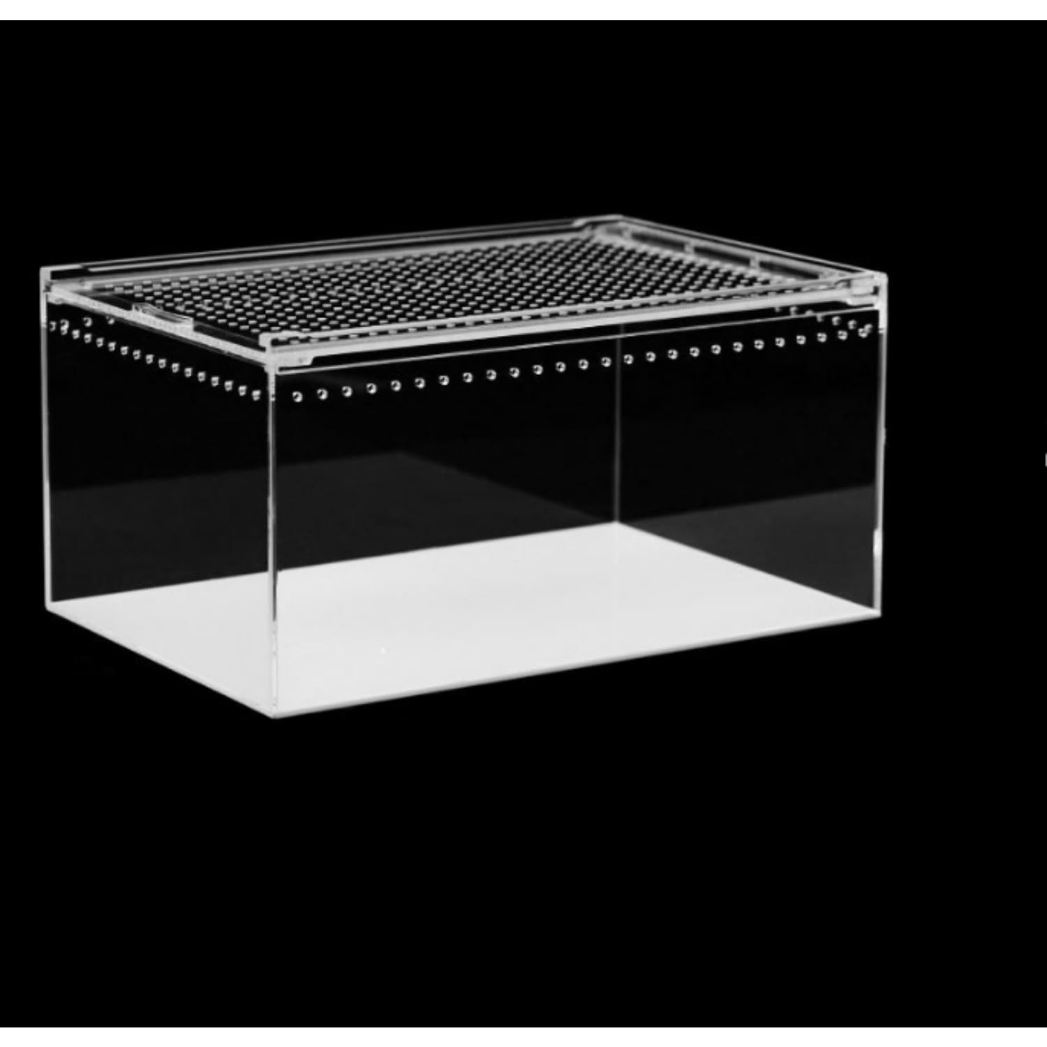 Amazon | 爬虫類用アクリル飼育ケース 爬虫類ペット用 トカゲ飼育