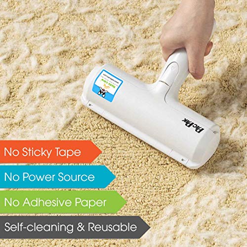 Top Products Every Dog Owner Needs