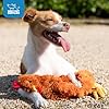 Best Pet Supplies Interactive Squeaky Dog Chew Toy, Ideal Dog Toys for Chewers, Small, Medium & Large Dogs, and Fetch Lovers - Crinkle Chicken (Brown), Large #4