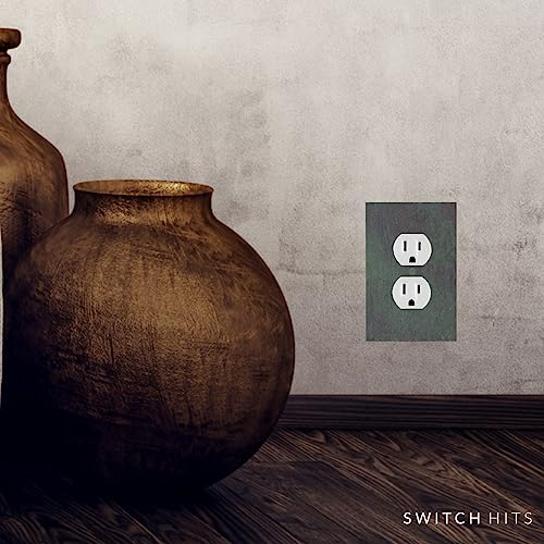 Electrical SWITCH HITS Outlet Wall Plate 1 Duplex | Single Outlet Cover Receptacle Plug Face Plate | Decorative Mottled Vermont Slate - Natural Earth Tone | 1 Gang, 3.25" W x 5" H by SWITCH HITS - Image 3