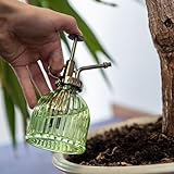 Boxer Gifts Houseplant Survival Set | Gorgeous House Plants Set with Glass Plant Mister and Houseplant Gardening Book | Great Indoor Plant Garden Gifts for Women and Men on Birthdays Christmas - Image 4