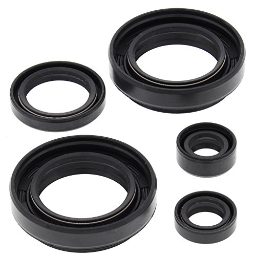 Kit de joints spi de moteur Winderosa 822234 pour stopper les fuites et protéger le carter