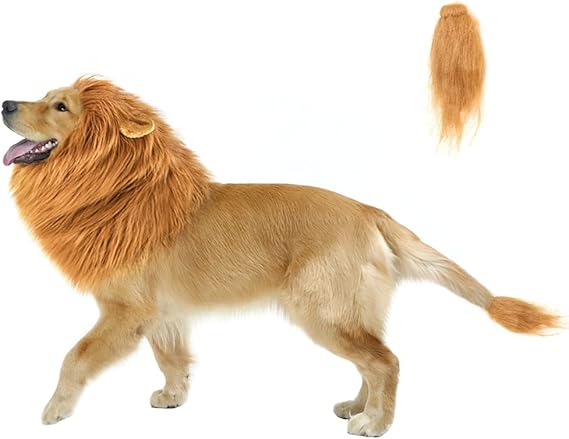 Amazon Co Jp Cppslee メンズ ハロウィーンライオン たてがみ かつら衣装 あなた 犬 ライオンキングを作る ハロウィーン 用 調節可能洗える快適な空想ライオン 毛 犬 服 ドレス ワンサイズ 耳 しっぽ付きブラウン ビューティー