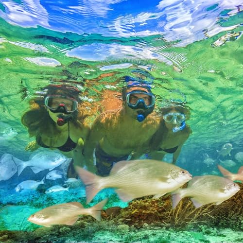 Combo Máscara y Tubo de Snorkel Seco TUSA Sport Visio Tri-Ex Serie Negra Adultos miniatura 6