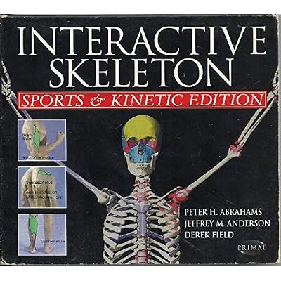 Interactive Skeleton: Sports and Kinetic Edition
