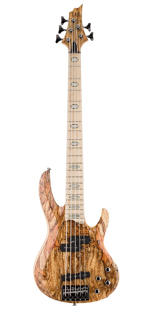 ESP LTD RB-1005SM NAT Spalted Maple 5 String Electric Bass
